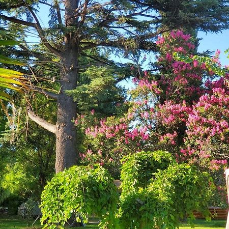 Quinta Ugarte Bed & Breakfast Lujan de Cuyo Exterior photo
