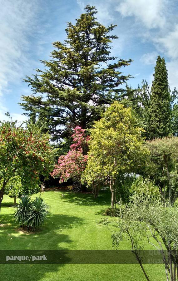 Quinta Ugarte Bed & Breakfast Lujan de Cuyo Exterior photo