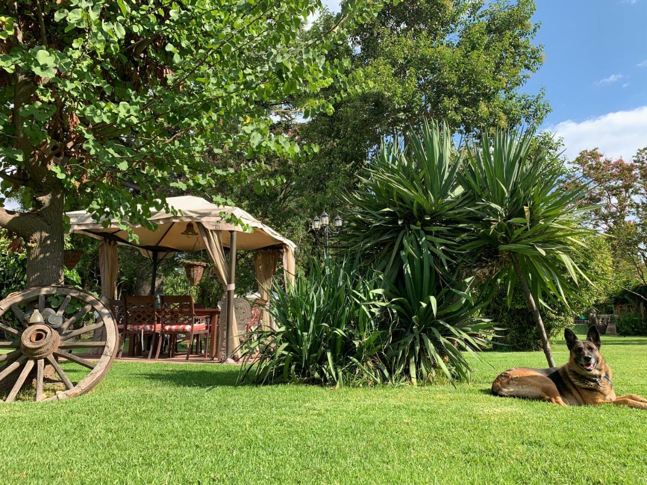 Quinta Ugarte Bed & Breakfast Lujan de Cuyo Exterior photo